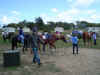 Tim_horse1.jpg (252366 bytes)