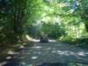 dsc01483_small.jpg