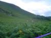 dsc01523_small.jpg