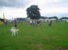 dsc01340_small.jpg