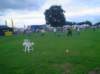dsc01341_small.jpg