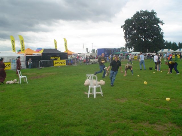 dsc01342.jpg