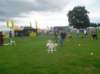 dsc01342_small.jpg