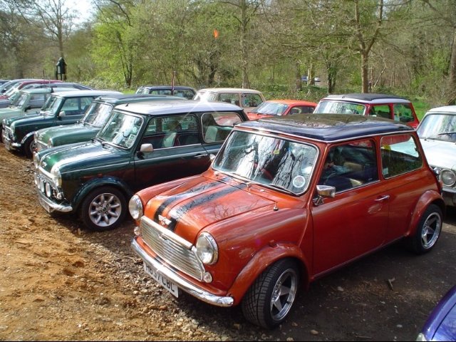 dsc00696.jpg