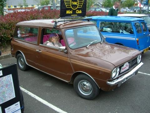 brown1.jpg