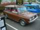 brown1_small.jpg